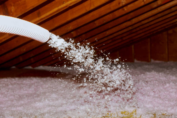 Insulation Inspection Services in Port Clinton, OH